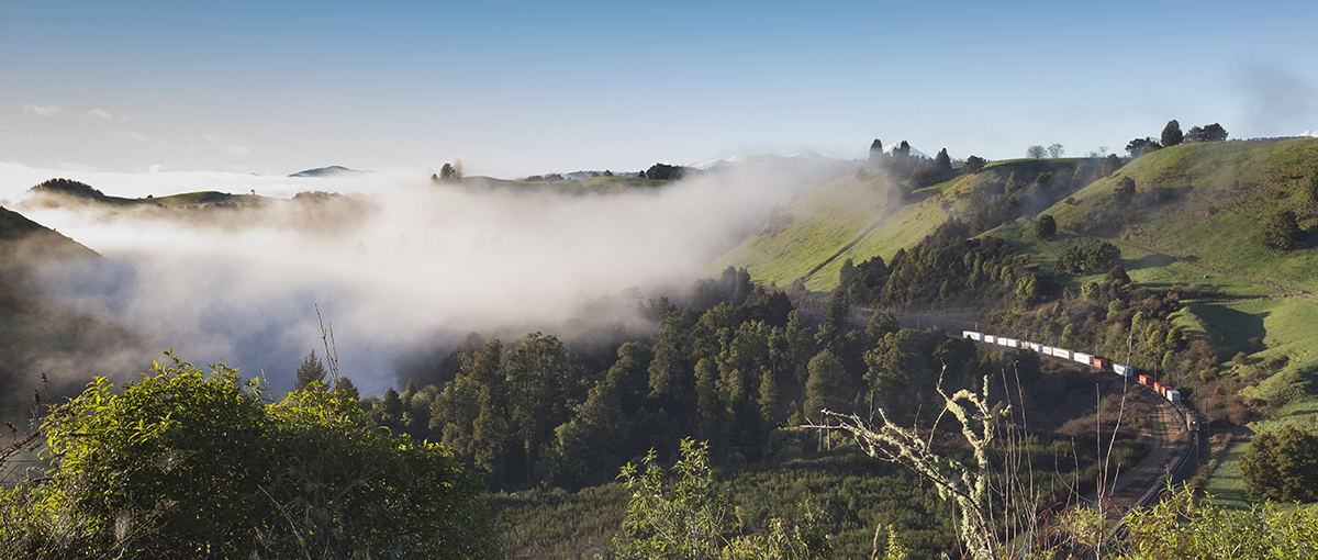 Fog 1200x510