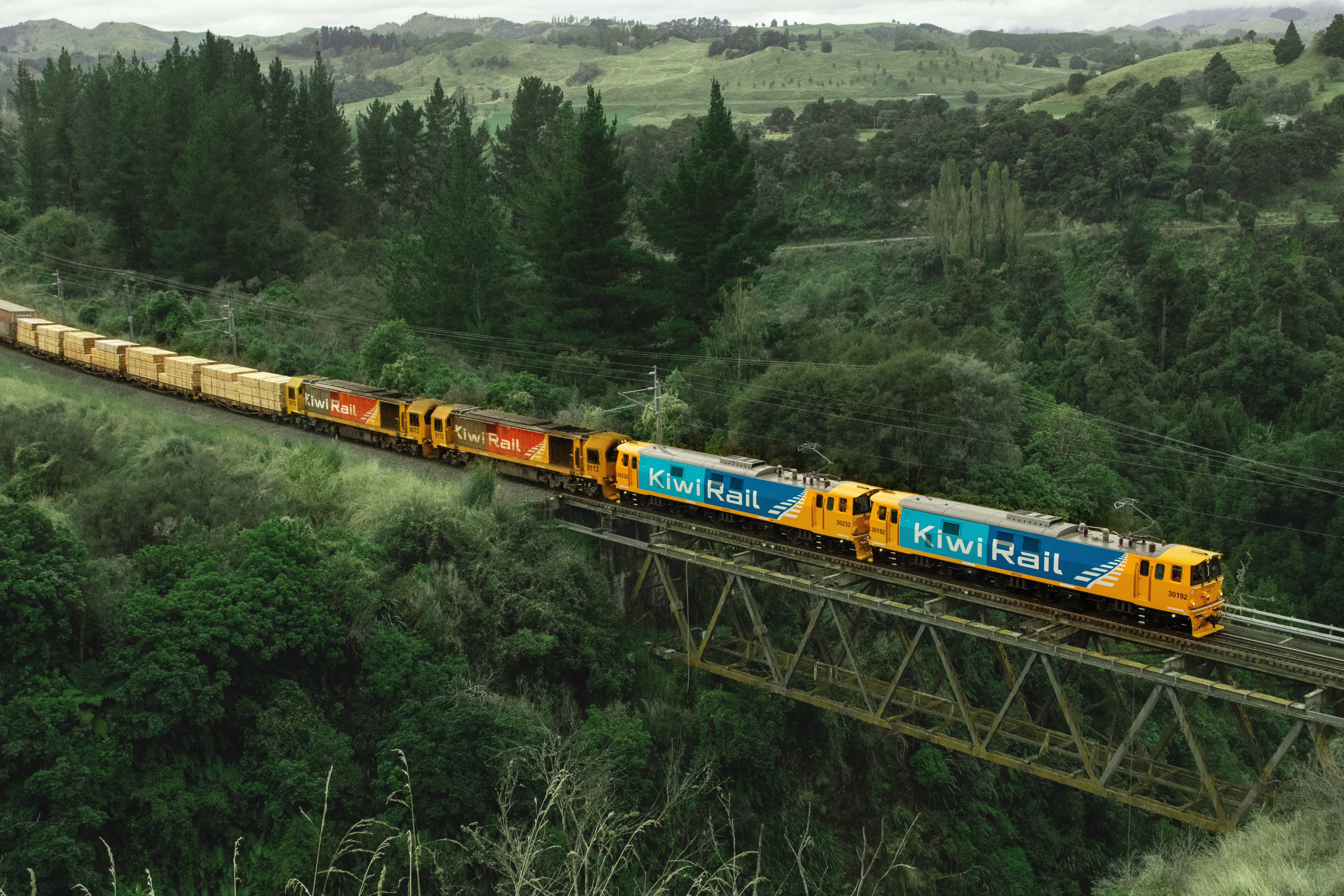 Less yellow IMG 7477