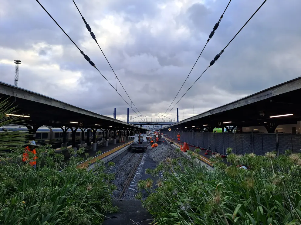 Track maintenance works at Wellington station
