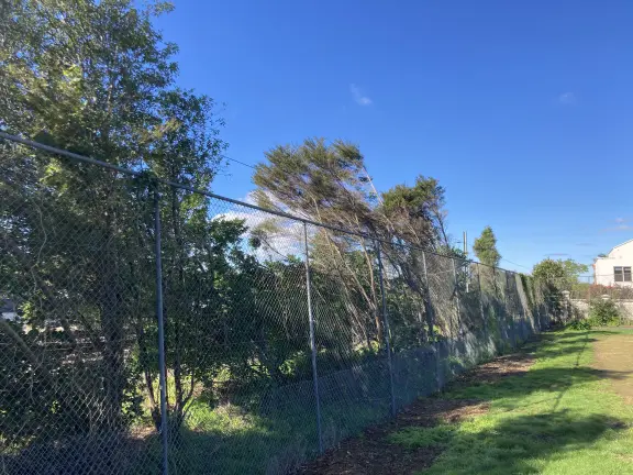 Mesh fencing